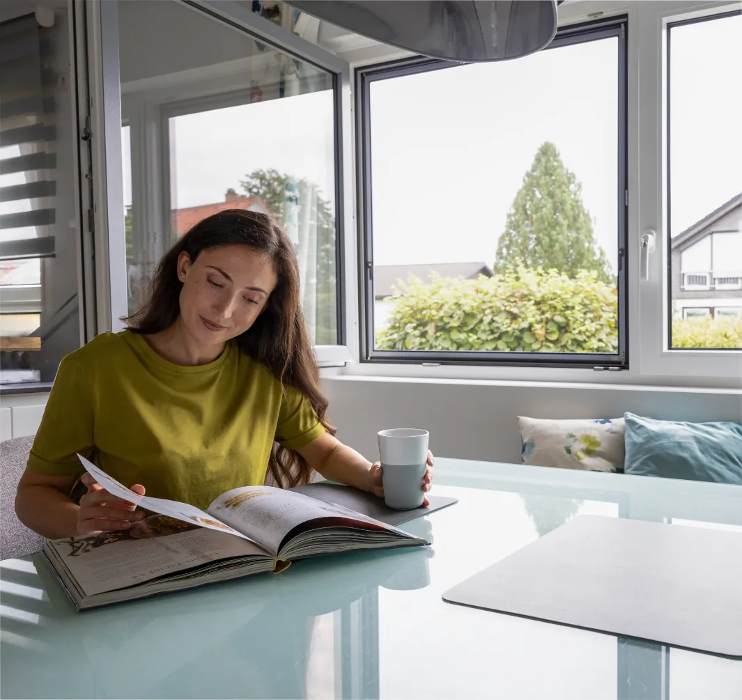 Insektenschutz Fenster – die besten Systeme 2026